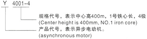 西安泰富西玛Y系列(H355-1000)高压头屯河三相异步电机型号说明